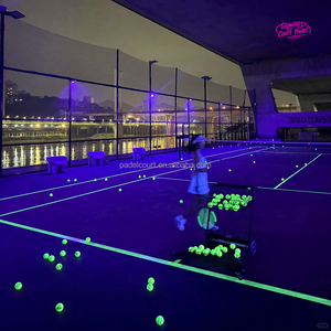 Proveedor Profesional de Pistas de Pádel LED Luminosas, Pista de Pádel Panorámica que Brilla en la Oscuridad - Product Image 1