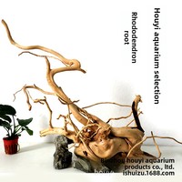 Décoration d'aquarium en bois : sélection de racines de rhododendron pour aménagement aquatique
