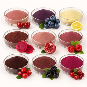 Poudre de fruits et légumes, poudre de jus de fruits mélangés, compléments nutritionnels, poudre de myrtilles séchées par congélation sauvages, biologique - Product Image 2