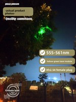 Modul Laser Hijau Lasence 555nm Baru Harga Kompetitif Daya 10-20mW Tegangan Operasi 2V Lampu Panggung Penunjuk Medis