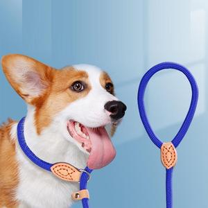 สายจูงสุนัขแบบเชือกไนลอนแข็งแรงทนทาน พร้อมหูจับคู่ ดีไซน์หนาและยาวขึ้น สำหรับขายส่ง - Product Image 1