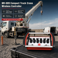 Controlador Inalámbrico para Grúa Compacta NM-009 con Opciones de Frecuencia de 433MHz, 868MHz, 915MHz y 2.4GHz