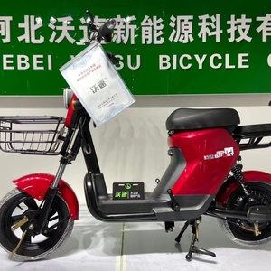 Bicicleta Eléctrica de 500w y 48v a Buen Precio para Reparto a Domicilio - Product Image 3