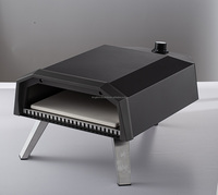 Four à pizza au gaz de 12 pouces, cuisine extérieure de jardin, acier inoxydable, petit barbecue à pizza portable