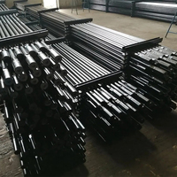 Peralatan Pompa Sumur Minyak API 11B Sucker Rod, Kopling Sucker Rod, Batang Poles, Sesuai Pesanan