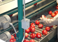 Vbjx Automatische Mango Tomaat Citroen Citrus Kersen Sinaasappel Fruit Grootte Sorteer En Sortering Machine Voor Groente