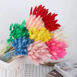Natural Dry Bunny Tails Grasses Bohemian Wedding Home Decoration White Pink Pompon Rabbit Tail Grass