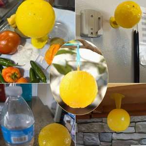 5 buah perangkap lem lalat kelelawar buah 77mm bentuk bola kuning - Product Image 2