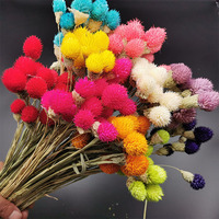 H05261 סיטונאי פרחים מיובשים תות פירות gomphrena globosa אלמוות פרחים רגילים לחיות חדר קישוט