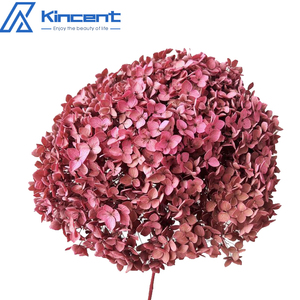 Bán Buôn Chất Lượng Cao Hấp Thụ Màu Sắc Vĩnh Cửu Anna Tú Cầu Trang Trí Nội Thất Phụ Kiện Trang Trí Đám Cưới Bảo Quản Tú Cầu - Product Image 4