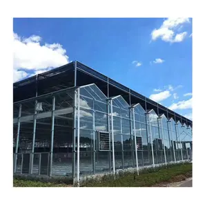 Venlo Type Greenhouse Stable Structure Glass Hot-dip Galvanized Steel Pipe Commercial Greenhouse for Agriculture Use >30 Years