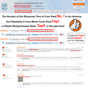 Fusible <span class=keywords><strong>de</strong></span> Cuchilla Micro2 Super Mini para <span class=keywords><strong>Auto</strong></span>, 35A, <span class=keywords><strong>de</strong></span> Nylon, para <span class=keywords><strong>Uso</strong></span> en Aparatos Eléctricos <span class=keywords><strong>de</strong></span> Automóviles - Product Image 5