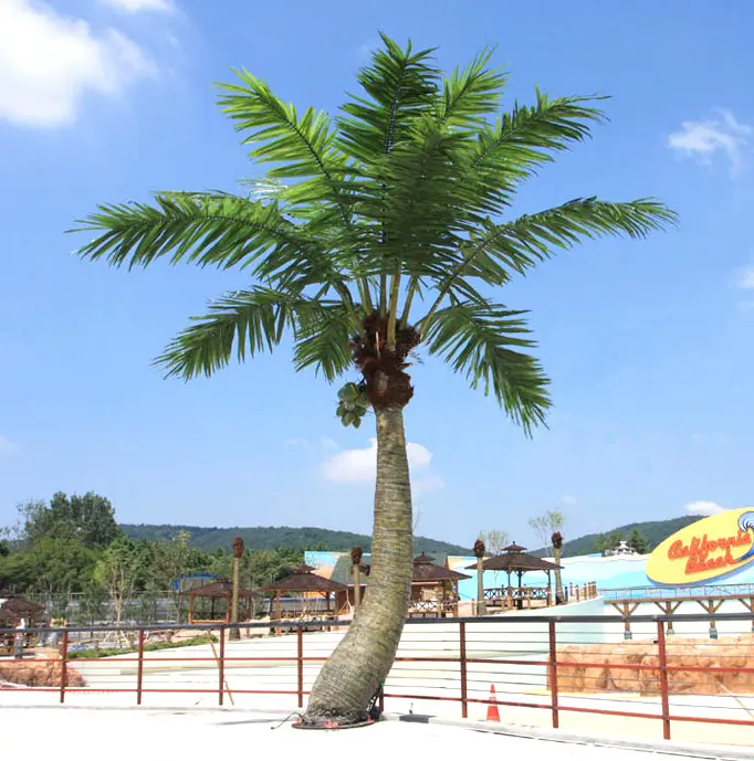 coconut tree