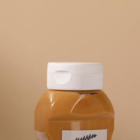 Bouteille de sauce en plastique PET plate de qualité alimentaire de 500 ml (16 oz) facile à presser avec bouchon à clapet pour miel et sauce tomate