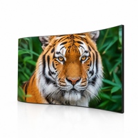 Módulo LED Flexible P1.25, Panel de Video Curvo Creativo y Flexible, Pantalla Curva de 320x160mm, Pantalla Magnética a Todo Color para Interiores
