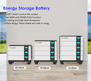 Kit completo fotovoltaico Byd Home Battery 50kwh Batería solar apilable 1000ah <span class=keywords><strong>48V</strong></span> 51,2 V Sistema de almacenamiento para inversor híbrido - Product Image 4