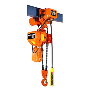 1 Ton Run type Electric Chain Hoist Customised Light Duty Crane OEM Customized Heavy Power Pendent