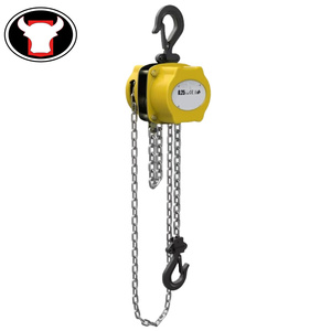 Palans à chaîne manuels de haute qualité, personnalisables en usine, 250 kg, 500 kg, 1 tonne, 2 tonnes, avec chaîne de 3 mètres - Product Image 2