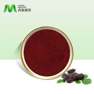 ISO工場供給 高アントシアニン含有量 黒桑抽出物粉末 食品グレード ドラム包装 - Product Image 2