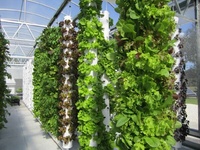 Serre hydroponique plante d'intérieur tour verticale tour hydroponique pour la culture de plantes légumes