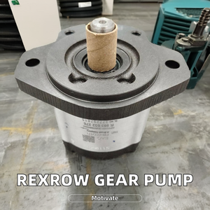 Pompe à engrenages hydraulique haute performance de remplacement AZPW-21-011RQRXXMB-S0593 pour véhicules de construction - Product Image 6