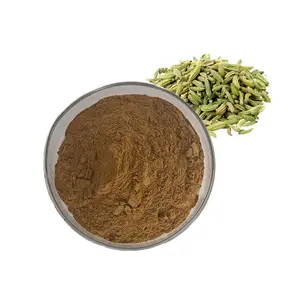 High Quality Pure Natural Bulk Fennel Seed Extract Powder