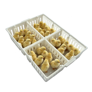Jaula de Transporte de Pollo de Plástico de Grado Comercial con 4 Compartimentos y Ranuras de Ventilación para el Transporte de Alimentos para Aves de Corral - Product Image 4