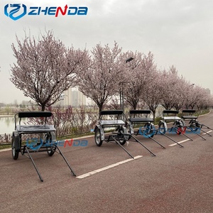 Venta Directa de Fábrica de Rickshaws y Carros de Acero de Alta Calidad, Ideales para Turismo al Aire Libre - Product Image 4