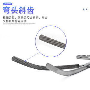 Pince intestinale Jinzhong droite et courbée à dents, pince chirurgicale pour chien, pour chirurgie abdominale vétérinaire, en acier inoxydable durable - Product Image 2