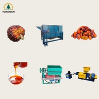 Nieuwe hoogproductieve automatische palmoliemolen (1-2t/u) kleine schaal extractiemachine met hoge veiligheid voor Nigeria