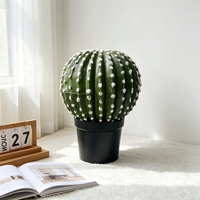 Décoration d'intérieur : Plantes artificielles écologiques en pot, cactus et plantes du désert en plastique, idéales pour la Fête des Mères - Offre Spéciale