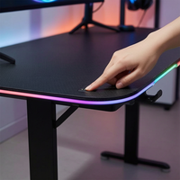 Escritorio Gaming Metálico al por Mayor de Fábrica con Luces LED RGB, Diseño Extensible, Estación de Trabajo Ergonómica para Gamers, Estilo Refrigerado