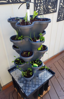Solution de jardinage intérieur efficace et écologique Système hydroponique solaire double pour la maison avec jardinières