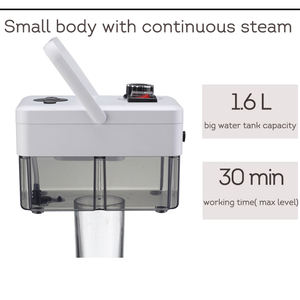 पोर्टेबल उच्च तापमान और उच्च दबाव हैंडहेल्ड स्टीम क्लीनर इलेक्ट्रिक पावर स्रोत कार और घरेलू उपयोग के लिए हमें प्लग - Product Image 3