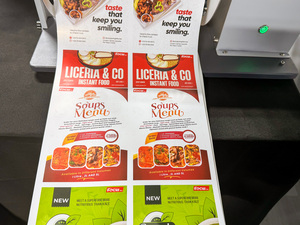 Tập trung VESA 830a xu hướng mô hình | độ chính xác cao Pod máy in UV cho nhựa, phim, và tổng hợp phương tiện truyền thông - Product Image 6