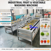 Automatische fruit- en groentewasmachine, industriële productenwasser voor aardappel, tomaat, wortel, gember en voedselverwerking