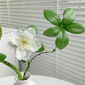 Fleur d'azalée artificielle Qingyu Chronicle, branche unique en soie, pour la décoration intérieure et les accessoires de photographie en extérieur - Product Image 4