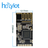 Module émetteur-récepteur sans fil Holyiot 2,4 GHz, module Bluetooth 5.3 longue portée et module Bluetooth BLE sans fil 2 Mbps