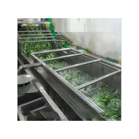 Commerciële Fruitwasmachine Plantaardige Luchtbel Wasmachine Groentesla Koolblad Reinigingsmachine Verwerkingslijn