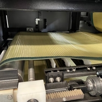 Filtre-presse à boues en acier inoxydable facile d'entretien pour le cuir et la tannerie Usine de traitement des eaux usées Machine de traitement de l'eau