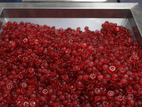 Gummies de vitamines à l'acide folique et à la pectine pour adultes, marque privée, véganes, sans sucre, à croquer, OEM ODM