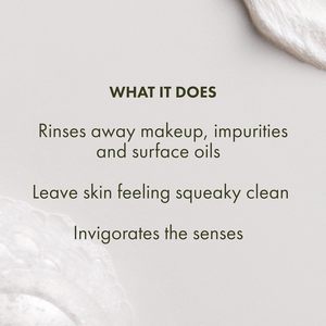 Limpiador Facial Espumoso Vegano Herbal de Marca Propia Lance, Limpiador Facial Suave de Limpieza Profunda y Control de Grasa <span class=keywords><strong>para</strong></span> Todo Tipo de Piel - Product Image 5