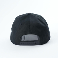 Casquettes de baseball sportives à cinq panneaux, style animalier, avec logo brodé personnalisé, pour hommes et femmes, noires unies, pour le golf