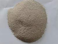 Décapant essentiel pour la fonte du fer, pour la perlite et les scories de sable de fonderie, pour un nettoyage efficace des cendres