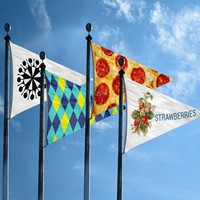 Drapeaux triangulaires personnalisés, bannières imprimées en vinyle, feutre, nylon pour les écoles, les événements sportifs, les salons professionnels, les concessionnaires automobiles