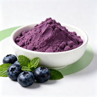 Poudre de Myrtille Naturelle en Vrac, Poudre de Fruit Bio Qualité Alimentaire, Soluble dans l'Eau, Fournisseur d'Usine OEM ODM
