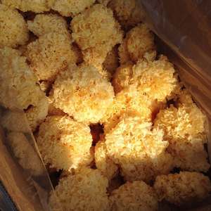 Großhandel Getrockneter Tremella-Pilz: Reich an Kollagen, Antioxidantien, Natürliche Hautpflege & Nahrungsergänzungsmittel, Lebensmittelzutat in Großmengen - Product Image 3