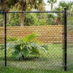 Rouleaux de clôture grillagée galvanisée à mailles losangées de 6 pieds <span class=keywords><strong>pour</strong></span> ferme et jardin - Product Image 3