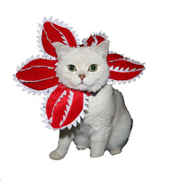Haustier-Kopfbedeckung für Katzen und Hunde, Fleischfressende Pflanzen-Transformation, Ausgefallener Hut, Halloween-Kostüm-Dekoration, Luxuriöser Haustier-Cosplay-Hut