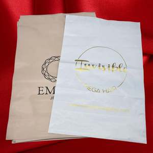 Bolsas de Envío Personalizadas de Polietileno Marrón para Envíos Urgentes, Bolsas de Correo de Color Personalizado - Product Image 5